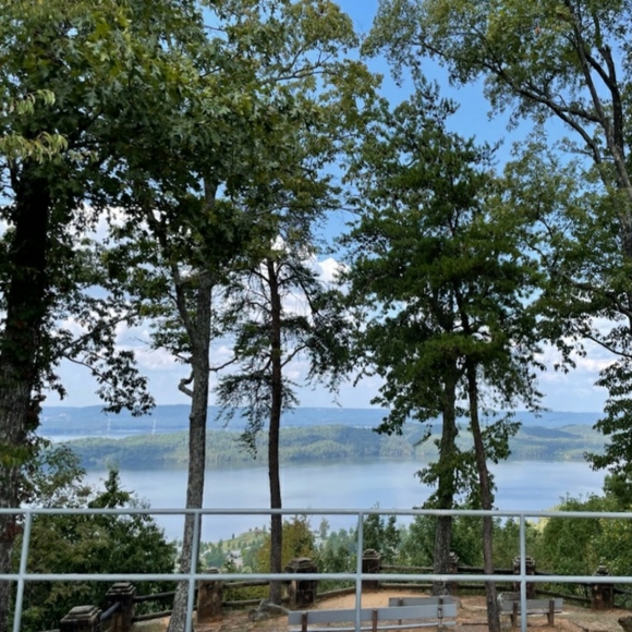 Prefered - Picture 4 of 16